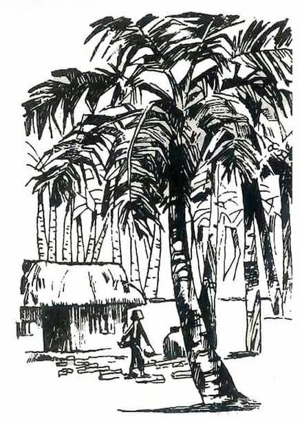 dừa ơi lê anh xuân