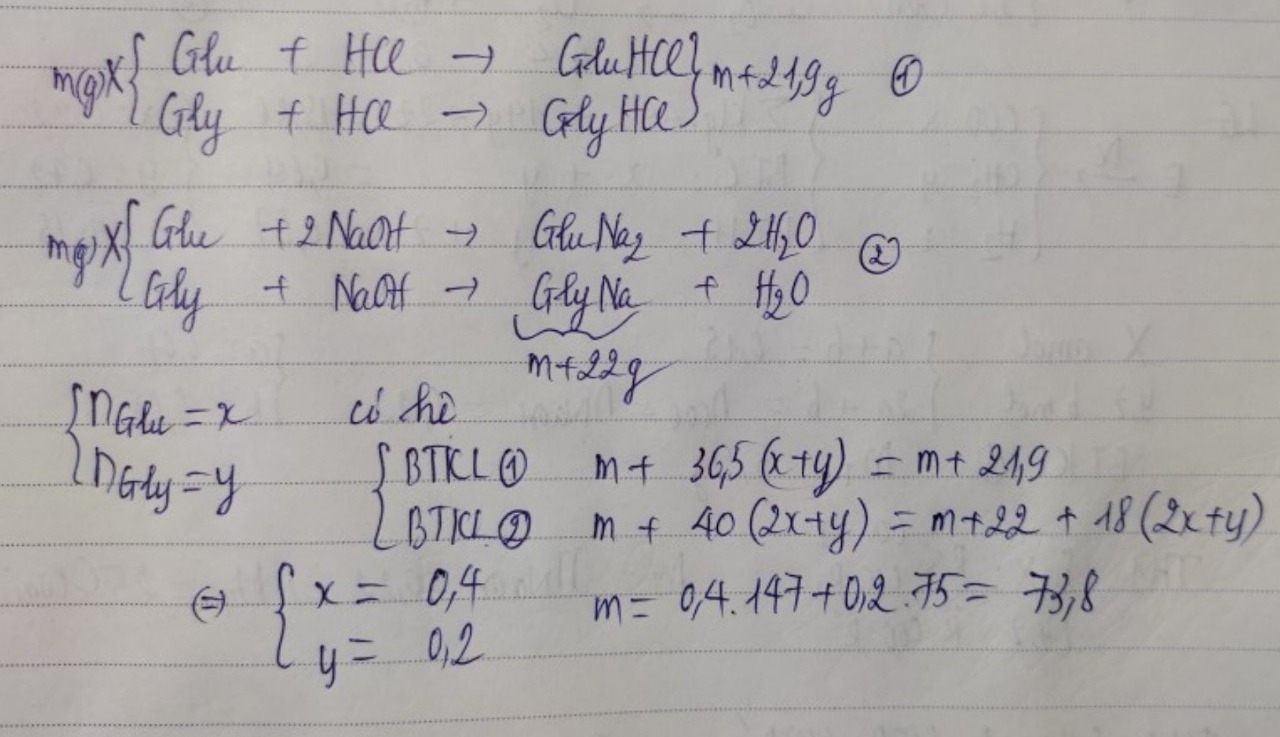 Cho m gam hỗn hợp X gồm axit glutamic và glyxin tác dụng vừa đủ với dung dịch HCl, thu được dung dịch chứa (m + 21,9) gam 1