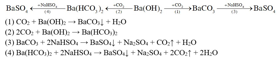 Cho sơ đồ chuyển hóa: Z ← (+F) X ← (+E) Ba(OH)2 (+E)→Y (+F) → Z 1