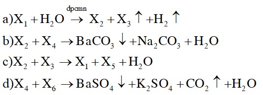 Cho sơ đồ phản ứng sau: X1 + H2O X2 + X3 + H2 1