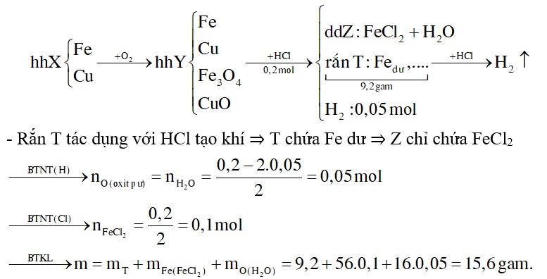 Đốt hỗn hợp X gồm Fe và Cu trong O2, thu được m gam hỗn hợp Y gồm Fe, Cu, Fe3O4 và CuO. Cho Y vào dung dịch chứa