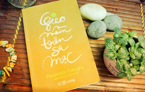 Gieo mầm trên sa mạc
