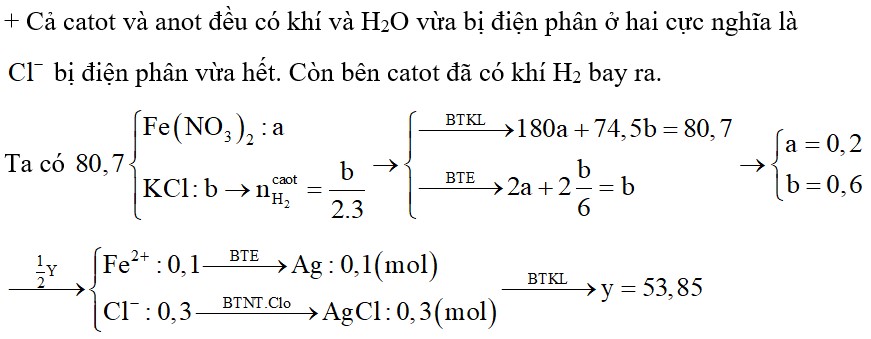 Hỗn hợp X gồm Fe(NO3)2 và KCl. Cho 80,7 gam X tan hết vào H2O thu được dung dịch Y