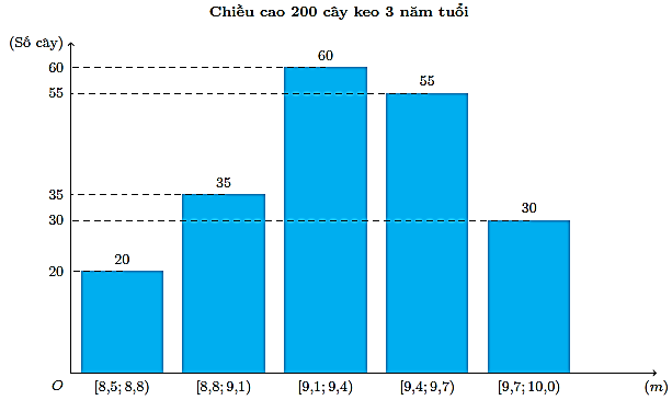 Biểu đồ phân bố chiều cao cây keo