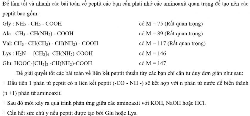 Tổng hợp kĩ thuật phương pháp giải bài tập peptit đầy đủ chi tiết 4