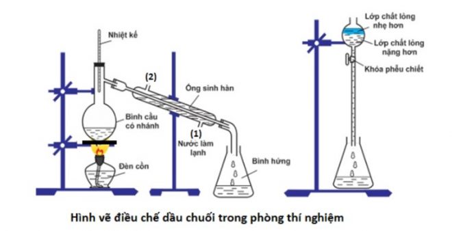 Tổng hợp thí nghiệm este chất béo hay và khó có đáp án chi tiết 9